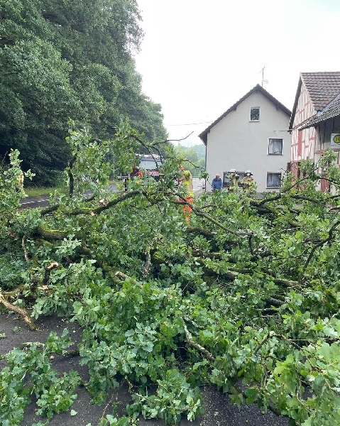 Hilfeleistung Hilfeleistung