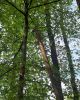 Hilfeleistung